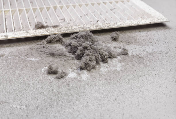 Best Air Duct Cleaning Near Me  in Lomita, CA